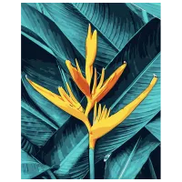 Pictură pe numere Strateg Floare galbenă GS1540 50 x 40 cm / Verticală