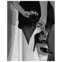 Pictură pe numere Strateg Femeie cu un pahar de vin HH039 50 x 40 cm / Verticală