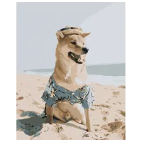 Картина по номерам Strateg Шиба-ину на пляже DY110 50 x 40 см / Вертикальная