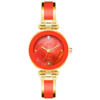 Наручные часы для женщин ANNE KLEIN AK/1980RDGB Кварцевый / 28 мм