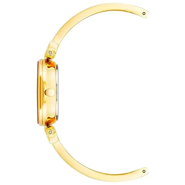 Наручные часы для женщин ANNE KLEIN AK/1980RDGB Кварцевый / 28 мм photo 2 Наручные часы для женщин ANNE KLEIN AK/1980RDGB Кварцевый / 28 мм photo 2