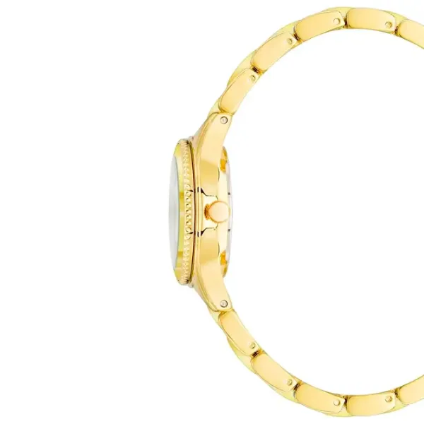 Ceas de mână pentru femei ANNE KLEIN AK/3212YLGB Cuarț / 30 mm photo 2