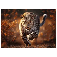 Puzzle Trefl Wild Leopard 12+/ Numărul de piese: 1000 photo 2