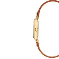 Наручные часы для женщин ANNE KLEIN AK/3752CHHY Кварцевый / 22 мм photo 3