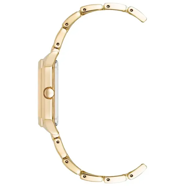 Ceas de mână pentru femei ANNE KLEIN AK/3774ABGB Cuarț / 24 mm photo 2 Ceas de mână pentru femei ANNE KLEIN AK/3774ABGB Cuarț / 24 mm photo 2