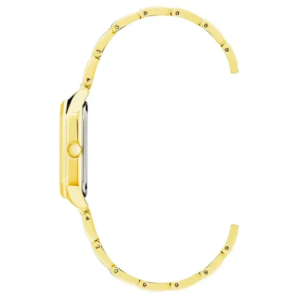 Наручные часы для женщин ANNE KLEIN AK/3774BHGB Кварцевый / 24 мм photo 2 Наручные часы для женщин ANNE KLEIN AK/3774BHGB Кварцевый / 24 мм photo 2