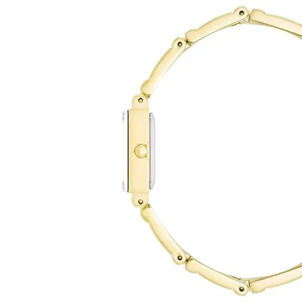 Наручные часы для женщин ANNE KLEIN 10/4898GPST Кварцевый / 16 мм photo 2 Наручные часы для женщин ANNE KLEIN 10/4898GPST Кварцевый / 16 мм photo 2