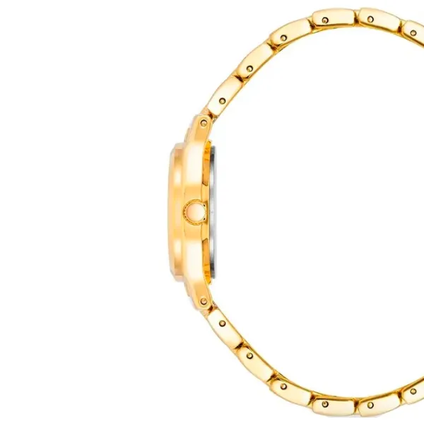 Наручные часы для женщин ANNE KLEIN 10/5490MPGB Кварцевый / 26 мм photo 2 Наручные часы для женщин ANNE KLEIN 10/5490MPGB Кварцевый / 26 мм photo 2