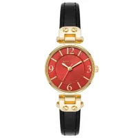 Ceas de mână pentru femei ANNE KLEIN 10/9442BYBK Cuarț / 26 mm