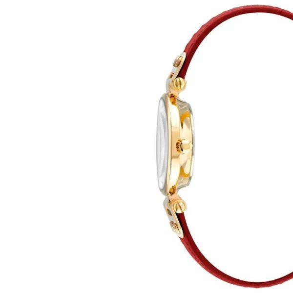 Наручные часы для женщин ANNE KLEIN 10/9442CHRD Кварцевый / 26 мм photo 2 Наручные часы для женщин ANNE KLEIN 10/9442CHRD Кварцевый / 26 мм photo 2