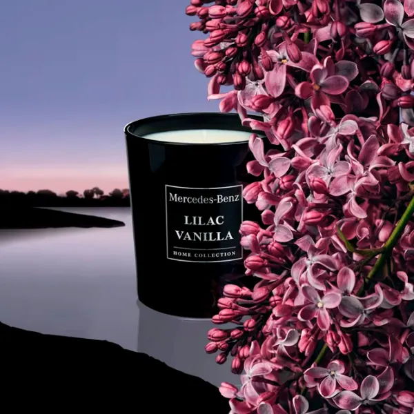 Освежитель воздуха для дома Mercedes-Benz MBHF113 Lilac /  photo 3 Освежитель воздуха для дома Mercedes-Benz MBHF113 Lilac /  photo 3