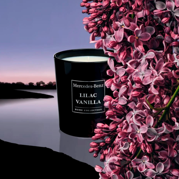 Освежитель воздуха для дома Mercedes-Benz MBHF113 Lilac /  photo 3 Освежитель воздуха для дома Mercedes-Benz MBHF113 Lilac /  photo 3
