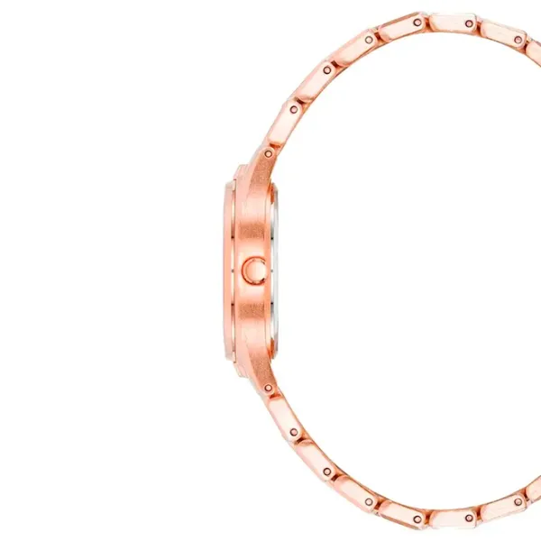 Наручные часы для женщин ANNE KLEIN AK/4060RGRG Кварцевый / 28 мм photo 2