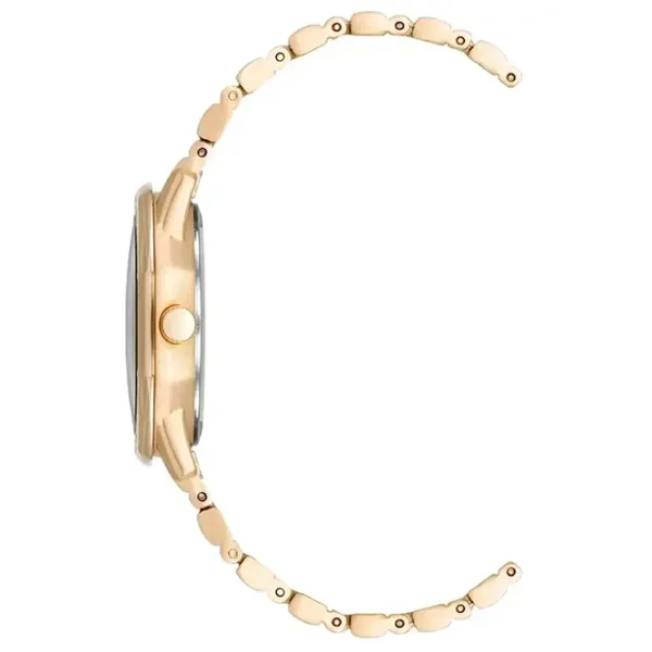 Наручные часы для женщин ANNE KLEIN AK/5028MPGB Кварцевый / 32 мм photo 2 Наручные часы для женщин ANNE KLEIN AK/5028MPGB Кварцевый / 32 мм photo 2