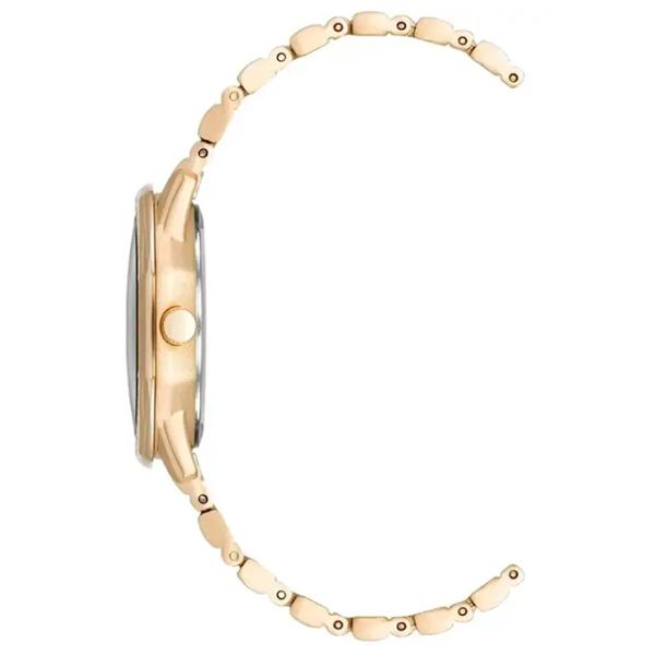 Наручные часы для женщин ANNE KLEIN AK/5028MPGB Кварцевый / 32 мм photo 2 Наручные часы для женщин ANNE KLEIN AK/5028MPGB Кварцевый / 32 мм photo 2