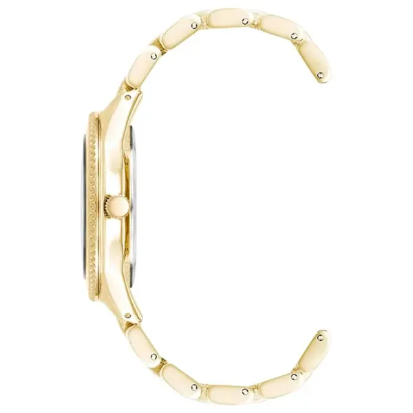 Наручные часы для женщин ANNE KLEIN AK/5042BKGB Кварцевый / 38 мм photo 2 Наручные часы для женщин ANNE KLEIN AK/5042BKGB Кварцевый / 38 мм photo 2