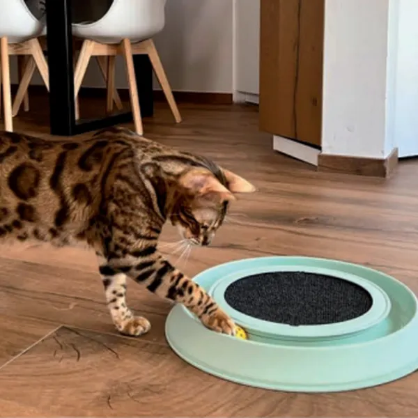 Интерактивная игрушка для кошек Georplast HappyCat   photo 2