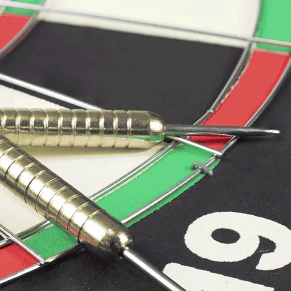 Дартс Harrows Harrows Champion Family  / /  photo 3 Дартс Harrows Harrows Champion Family  / /  photo 3