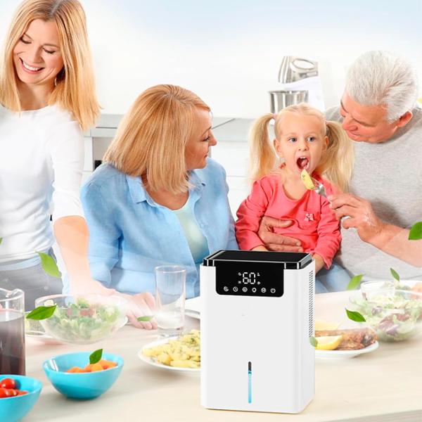 Осушитель воздуха DryWave D2 Настольная / Белый photo 6