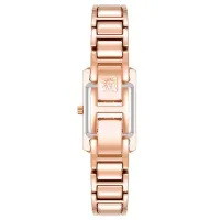 Наручные часы для женщин ANNE KLEIN AK/5114SVRG Кварцевый / 20 мм photo 2