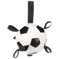 Мяч для собаки Flamingo Football
