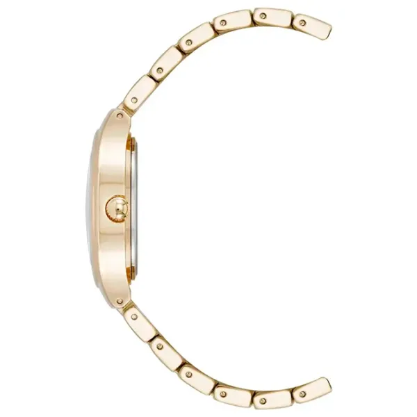 Наручные часы для женщин ANNE KLEIN AK/5132SVGB Кварцевый / 32 мм photo 2 Наручные часы для женщин ANNE KLEIN AK/5132SVGB Кварцевый / 32 мм photo 2