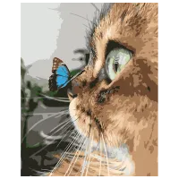 Pictură pe numere Strateg Pisica cu fluture DY021 50 x 40 cm / Verticală