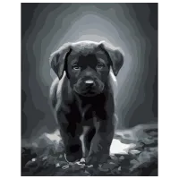 Pictură pe numere Strateg Labrador DY277 50 x 40 cm / Verticală