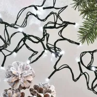 Luminițe decorative EMOS D4AC05  / Alb