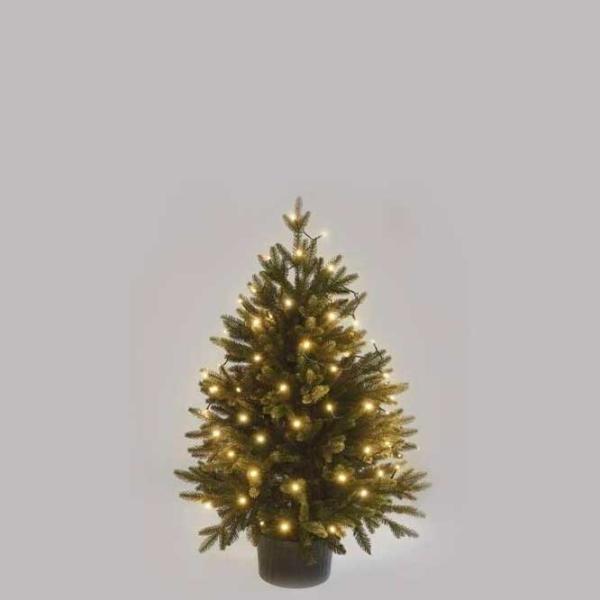 Гирлянды LED EMOS D4AW01  / Тёплый белый photo 3