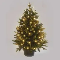 Luminițe decorative EMOS D4AW03 / Alb cald photo 2