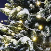 Гирлянды LED EMOS D1AW02 / Тёплый белый photo 5