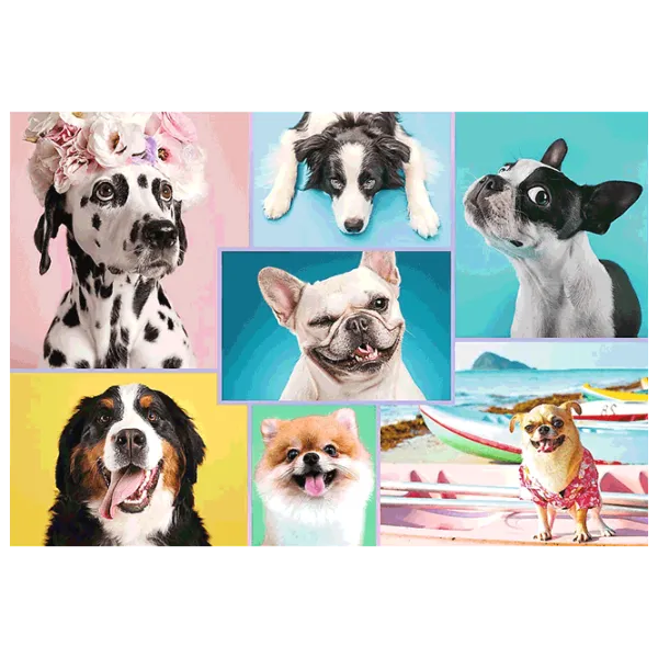 Puzzle Trefl Cute Dogs 12+/ Numărul de piese: 1500 photo 3 Puzzle Trefl Cute Dogs 12+/ Numărul de piese: 1500 photo 3