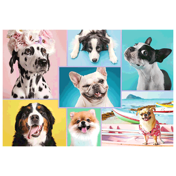 Puzzle Trefl Cute Dogs 12+/ Numărul de piese: 1500 photo 3 Puzzle Trefl Cute Dogs 12+/ Numărul de piese: 1500 photo 3