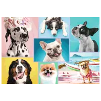 Puzzle Trefl Cute Dogs 12+/ Numărul de piese: 1500 photo 3