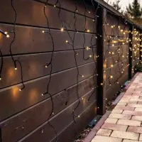 Luminițe decorative EMOS D1CW01 / Alb cald photo 2