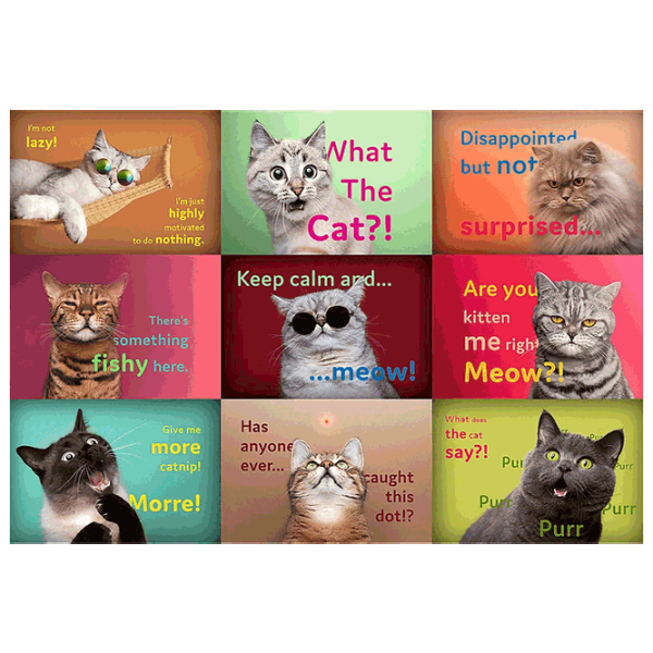 Puzzle Trefl Funny Cats 12+/ Numărul de piese: 1500 photo 2 Puzzle Trefl Funny Cats 12+/ Numărul de piese: 1500 photo 2