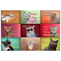Puzzle Trefl Funny Cats 12+/ Numărul de piese: 1500 photo 2