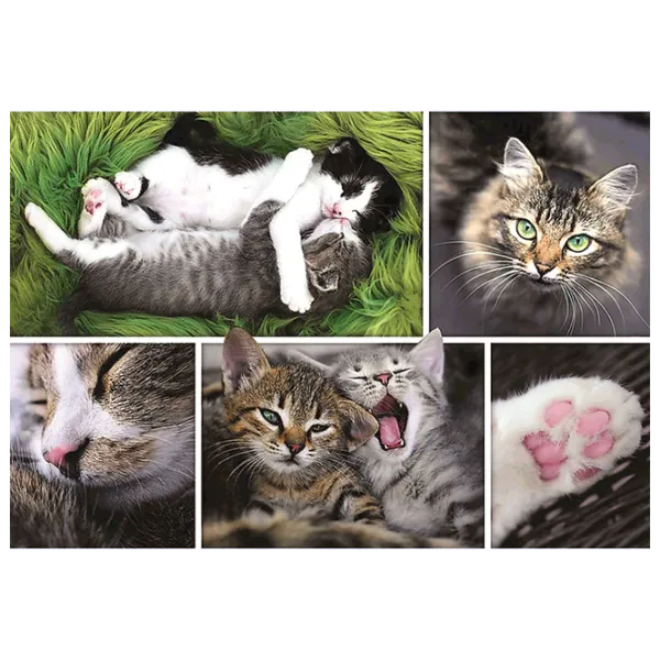 Puzzle Trefl Kittens 12+/ Количество деталей: 1500 photo 2