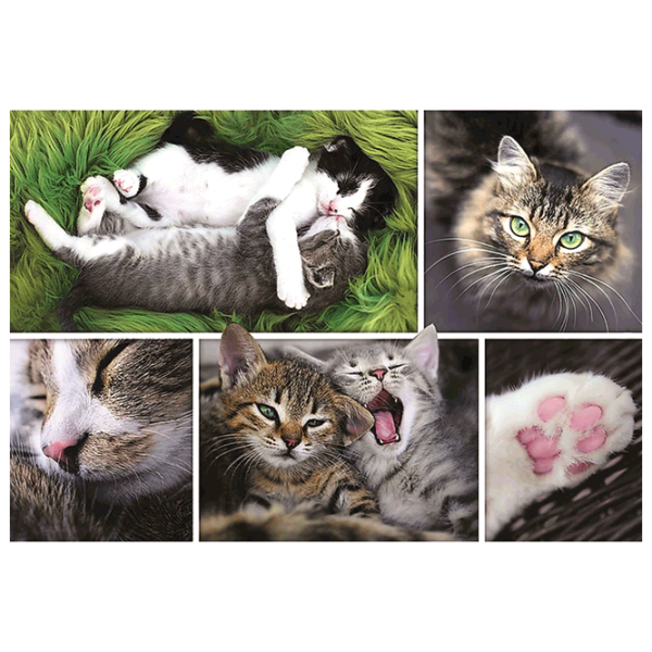Puzzle Trefl Kittens 12+/ Количество деталей: 1500 photo 2