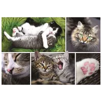 Puzzle Trefl Kittens 12+/ Numărul de piese: 1500 photo 2