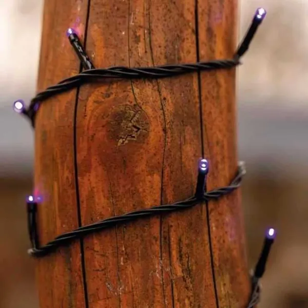Гирлянды LED EMOS D1AF01  / Фиолетовый photo 6