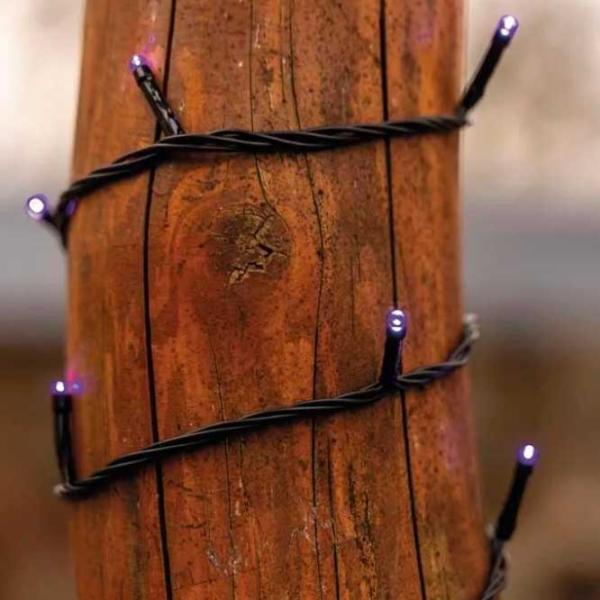 Гирлянды LED EMOS D1AF01  / Фиолетовый photo 6