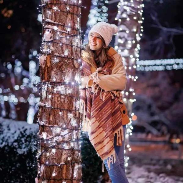 Гирлянды LED EMOS D1AC03  / Белый photo 2