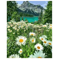 Pictură pe numere Strateg Margarete în munți GS1093 50 x 40 cm / Verticală