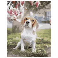 Картина по номерам Strateg Бигль под магнолией GS944 50 x 40 см / Вертикальная