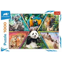 Puzzle Trefl Animal Kingdom 9+/ Numărul de piese: 1000 photo 3