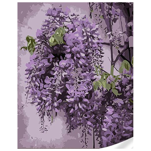 Pictură pe numere Strateg Glicine fragede SS1082 40 x 30 cm / Verticală photo 1 Pictură pe numere Strateg Glicine fragede SS1082 40 x 30 cm / Verticală photo 1