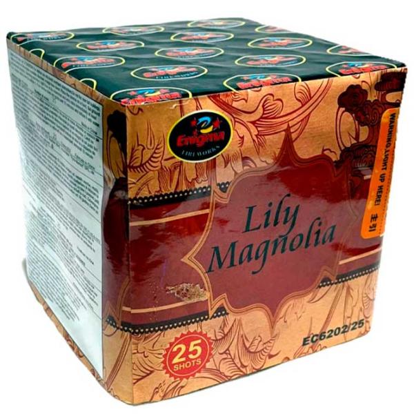 Baterie de artificii Pyro LILY MAGNOLIA EC6204 49 focuri photo 1