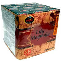Baterie de artificii Pyro LILY MAGNOLIA EC6204 49 focuri